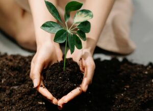 Growth and Development